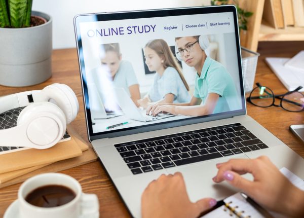 Website sekolah profesional